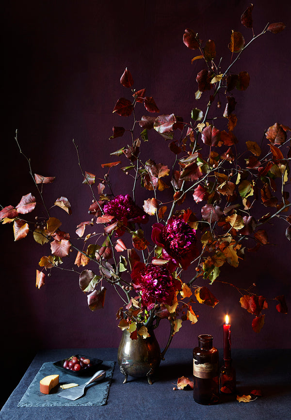 Floral arrangement, dark background